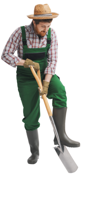 HD Landscaping professional