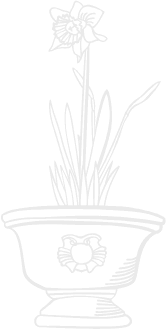 HD Landscaping pricing background