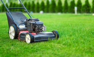 Lawn Care in Houston