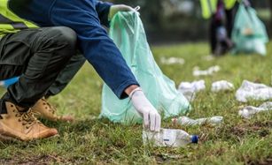 Yard Clean-Up Services Houston