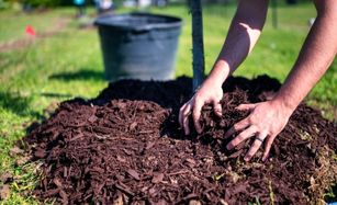 Mulching and weed control in Houston