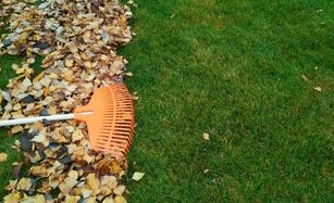 Seasonal yard cleanup in Houston