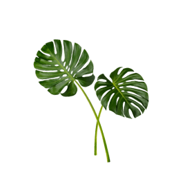 Custom Landscaping Solutions in Houston